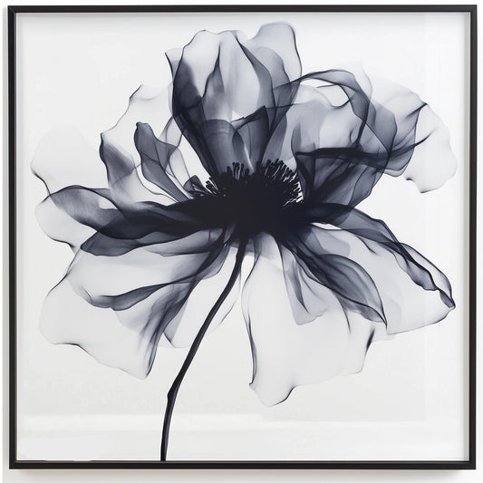 Floral Muse II Framed Wall Art Prints, Decorative Abstract Wall Art for Home Decor Nature Landscape Room Decor Living Room Bedroom Bathroom