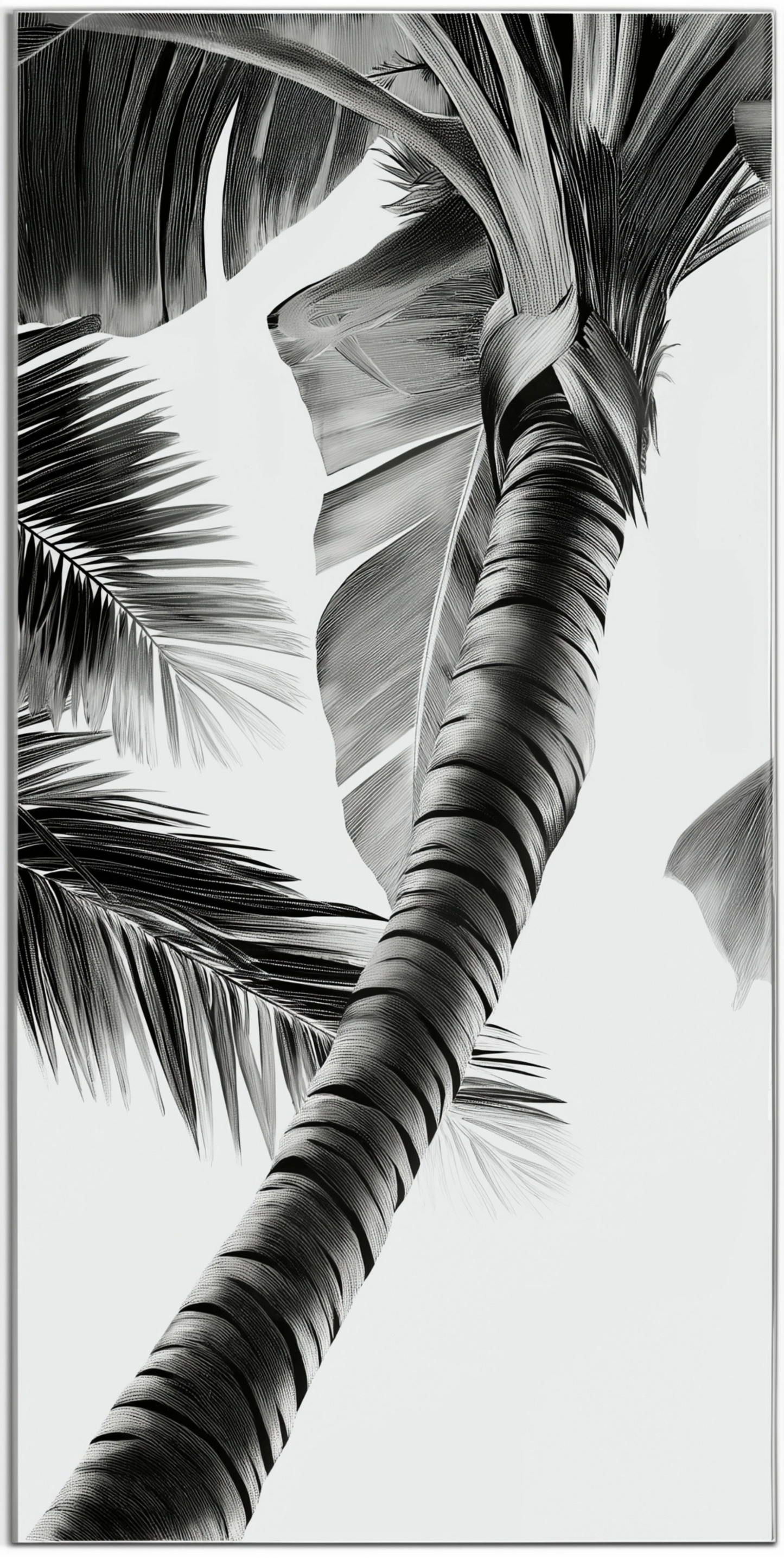 Coastal Mirage Framed Wall Art Prints Decorative Abstract Palm Tree Wall Art for Home Decor Nature Landscape Room Decor Living Room Bedroom